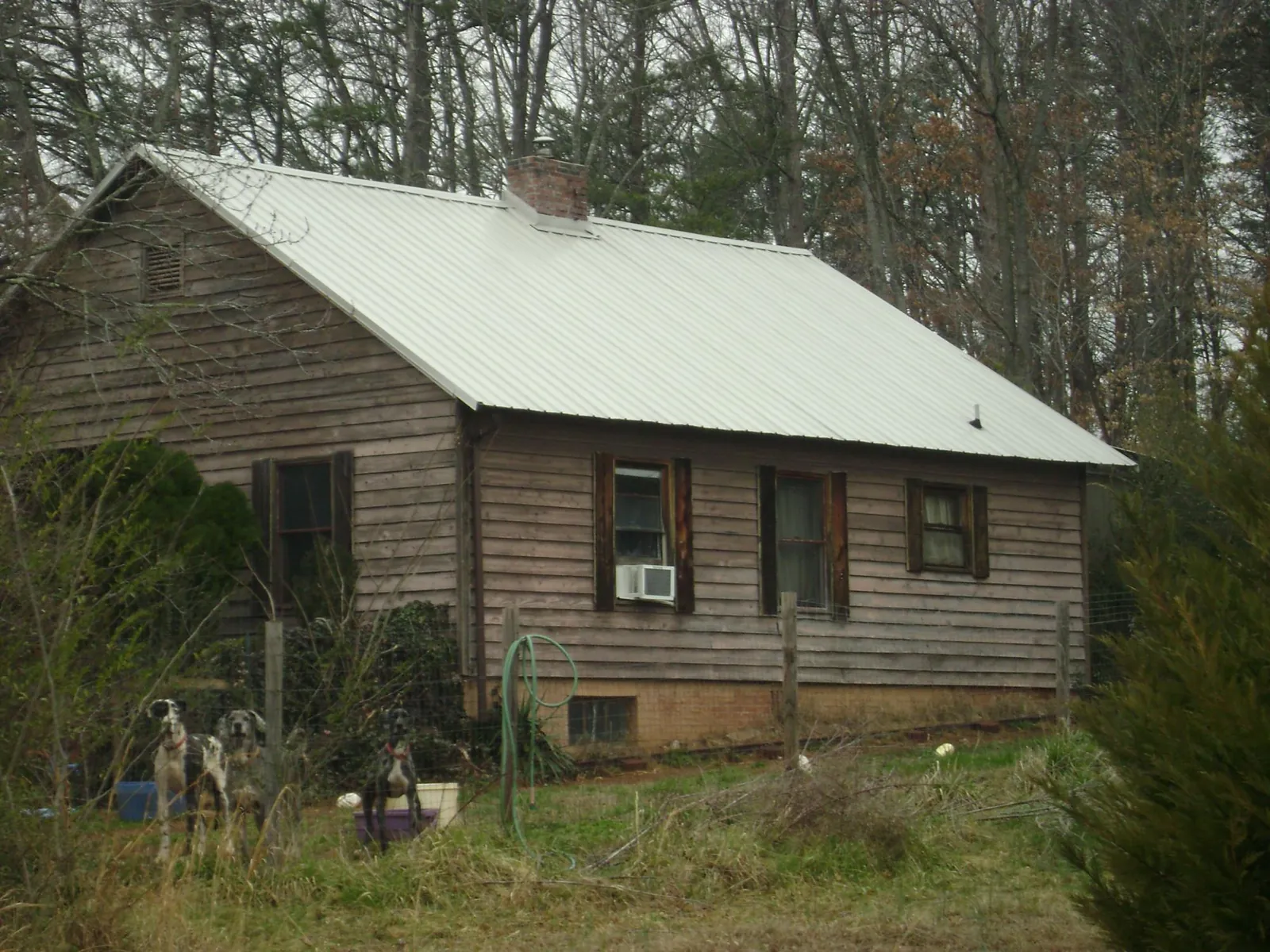White metal roof on an old wood sided farmhouse, from a Metal Roof Installation job in Craig